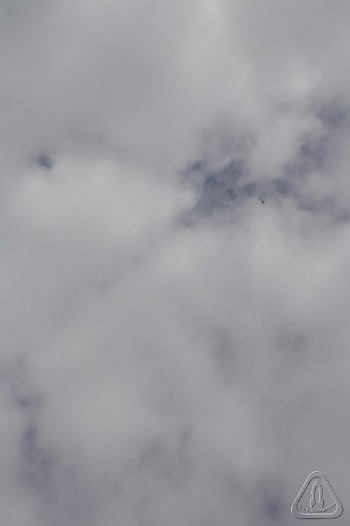 2013 Svojek Mirek Topinka